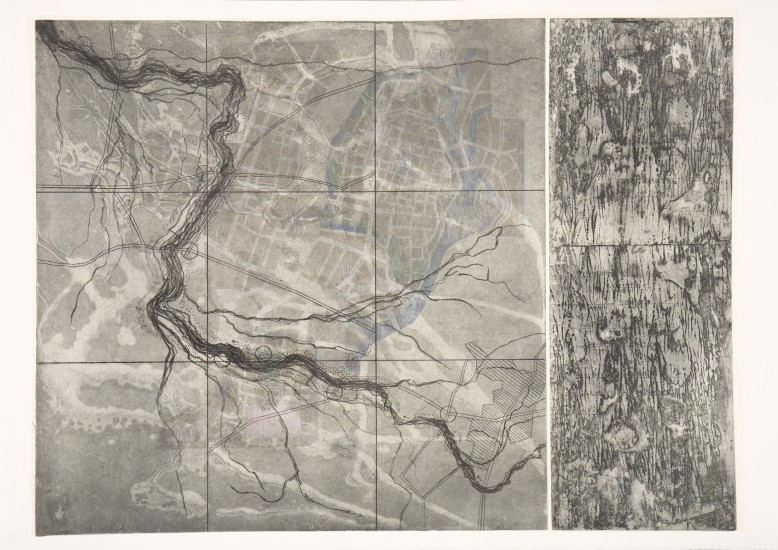 Mappa VII, akwaforta, akwatinta, matryca fotopolimerowa,  50 x 68, 2016